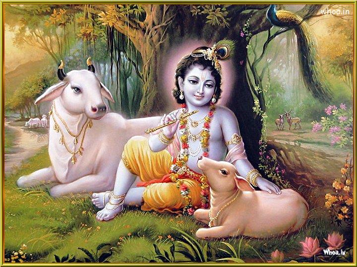 Krishna with Cows